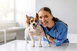 Medicación para perros y gatos