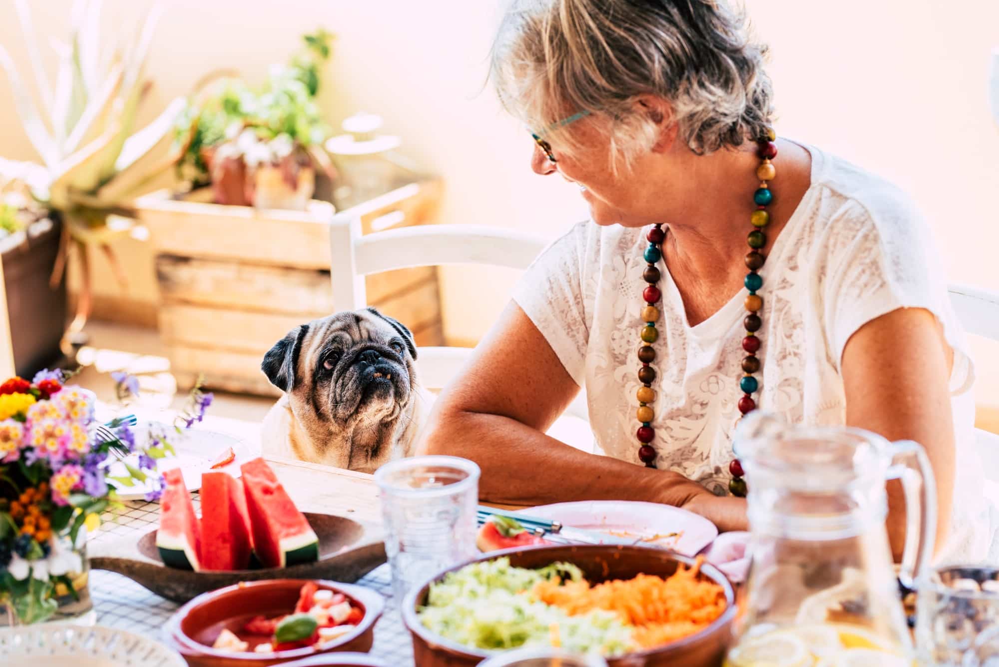 Friends concept with human and animal like pet therapy